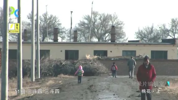 [2014][中国大陆][棉花][720p][966M][百度盘]