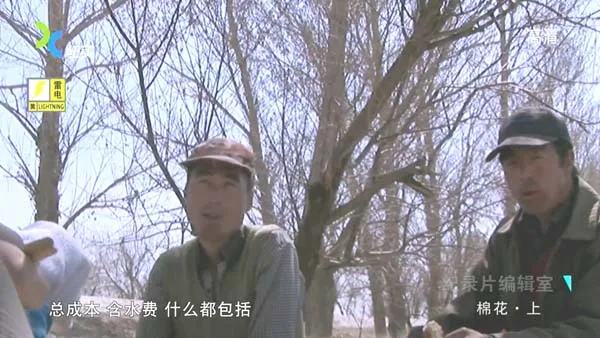 [2014][中国大陆][棉花][720p][966M][百度盘]