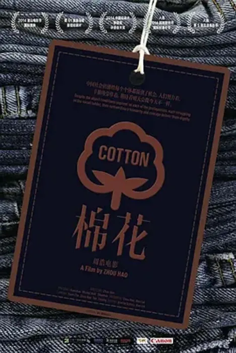 [2014][中国大陆][棉花][720p][966M][百度盘]