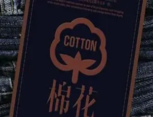 2014中国大陆电影《棉花》720p高清966M 百度盘资源