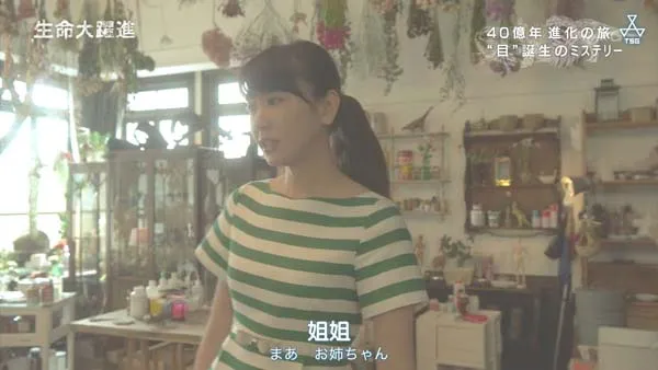 [2015][日本][生命大跃进][2.9G][百度盘]