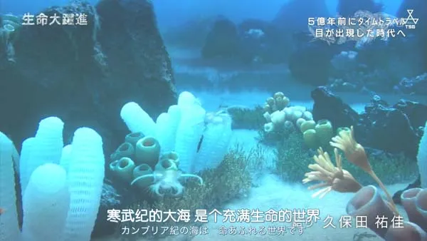 [2015][日本][生命大跃进][2.9G][百度盘]