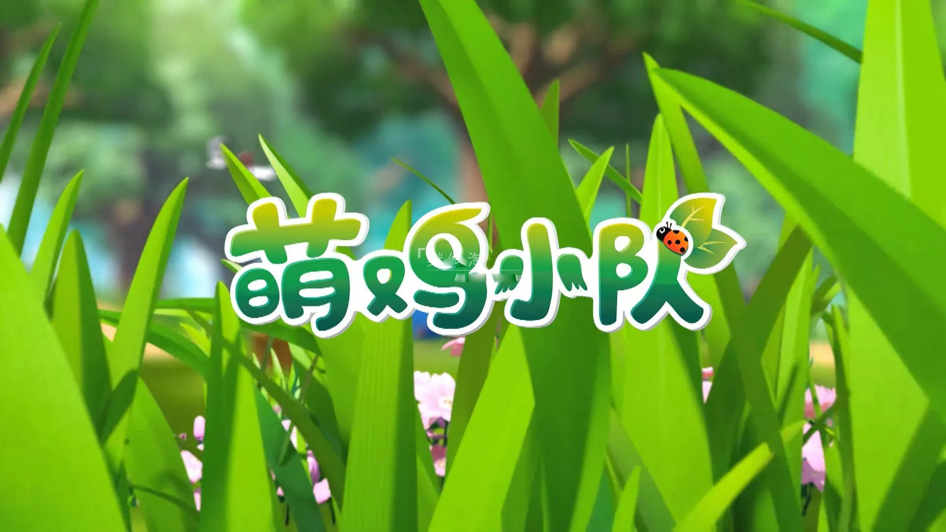 动画片《萌鸡小队》[儿童教育][中文版全1-4季共202集][17GB][百度网盘]