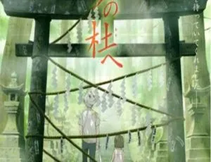 2011日本超赞剧情片《萤火之森》781M 百度网盘资源速来-小文资源网