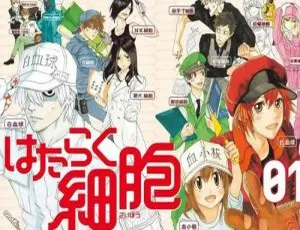 1080P高清原声中字！《工作细胞》第1季全14集百度云视频合集下载-小文资源网