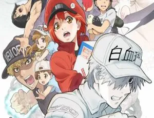 《工作细胞》第2季全8集！1080P高清原声中字 百度云视频合集下载-小文资源网