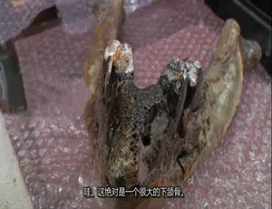 1080P 第一季 9 集原声中字《古物奇谭》纪录片百度网盘资源