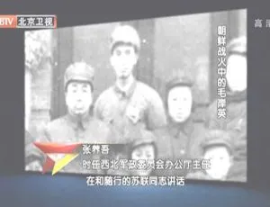 2012 BTV 档案：揭秘朝鲜战火中毛岸英的红孩子传奇 720p 百度盘资源-小文资源网