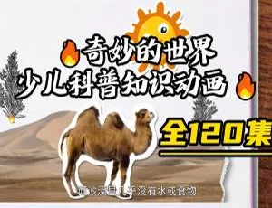 120集中文版科普动画片《奇妙的世界》1.99GB 百度网盘资源-小文资源网