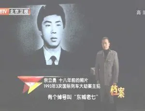 1993中俄列车大劫案犯罪团伙：2012年BTV档案720p高清追捕内幕