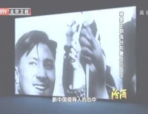 2012 BTV 档案：蒋家王朝逃台前的最后日子 720p 高清百度盘资源-小文资源网