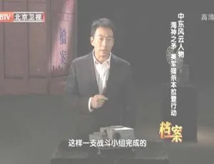 2012年BTV档案：揭秘美国猎杀本·拉登行动 720p高清资源 百度盘-小文资源网