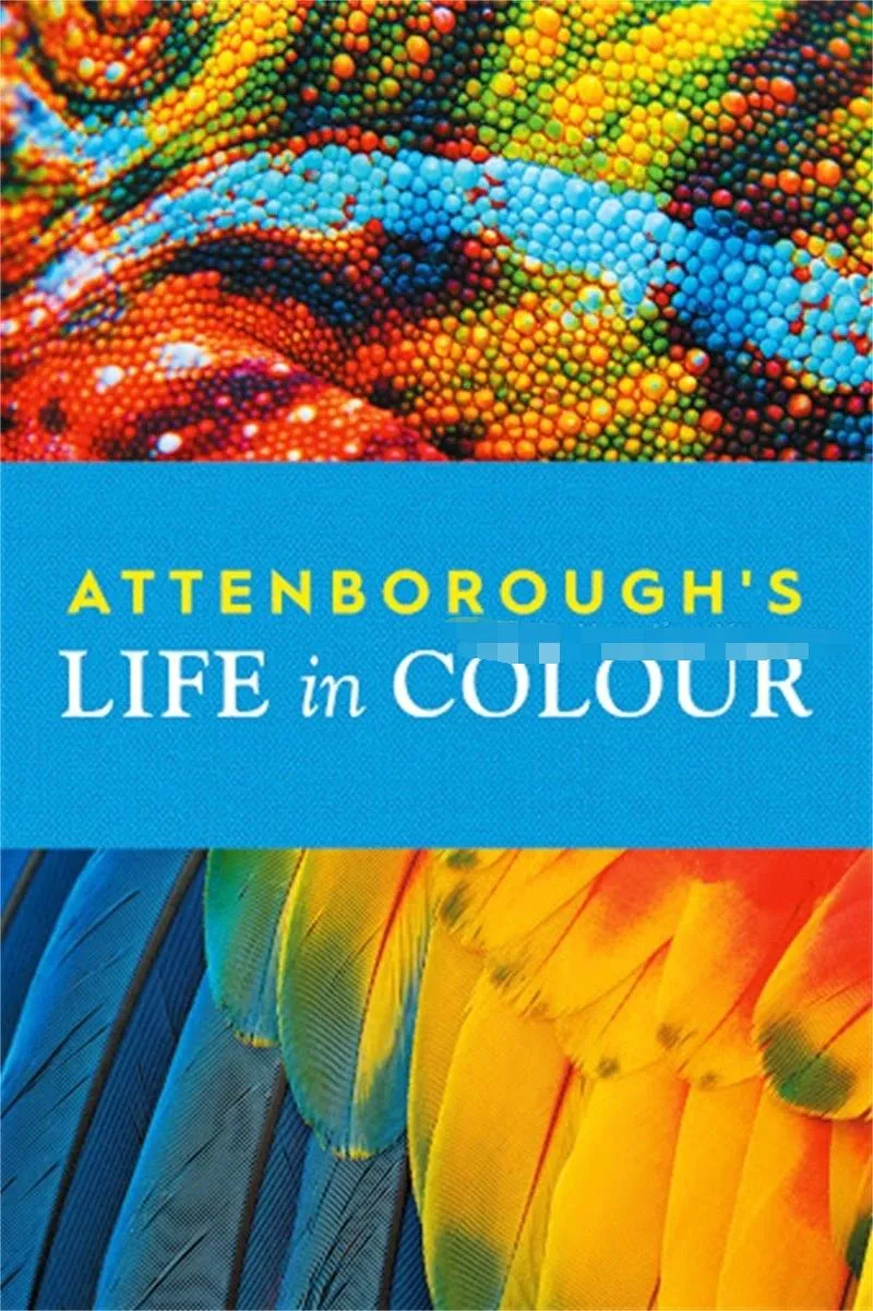 英文动画《多彩生活 Life In Colour》[儿童教育][全3集/英语版][2.34GB][百度网盘]