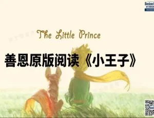 26集英语动画《小王子》带英文字幕 1.82GB 百度网盘资源