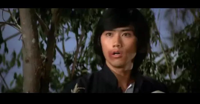 [1979][香港邵氏]《唐山五虎》[粤语中字][百度网盘]