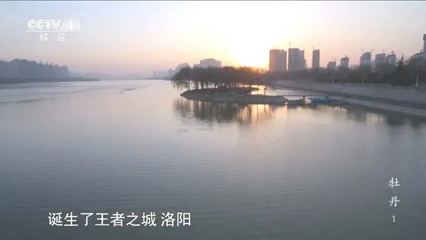 [2014][中国大陆][牡丹][7.6G][百度盘]