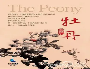 2014 中国大陆电影《牡丹》7.6G 百度盘资源