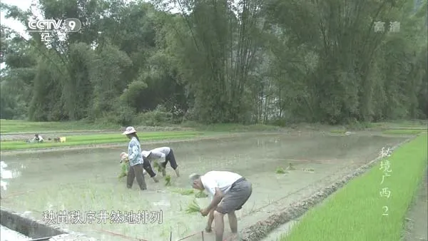 [2015][中国大陆][秘境广西][5G][百度盘]