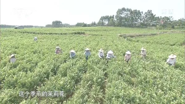 [2015][中国大陆][秘境广西][5G][百度盘]