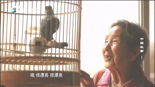 [2018][中国大陆][中国故事][11.1G][百度盘]