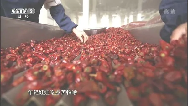 [2015][中国大陆][劳动筑就中国梦][全6集][缺第3集][13.2G][百度盘]