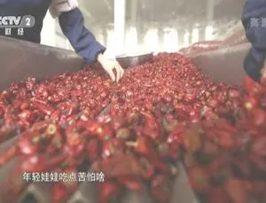 2015中国大陆《劳动筑就中国梦》全6集缺第3集 13.2G百度盘资源-小文资源网