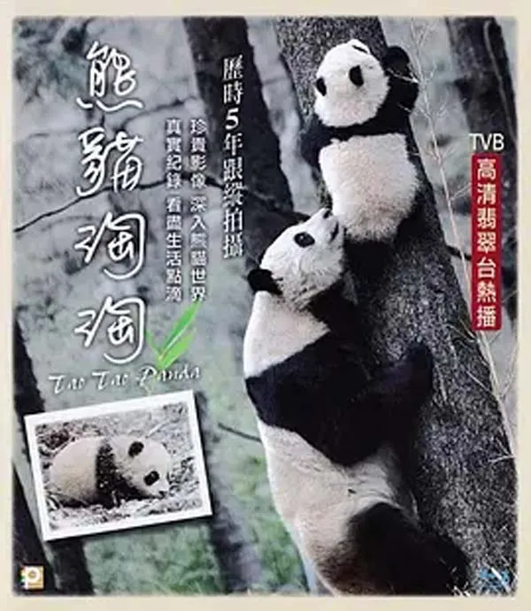 [2014][中国大陆][熊猫淘淘][720p][HD中字][994M][百度盘]