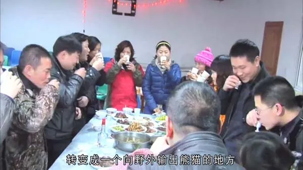 [2014][中国大陆][熊猫淘淘][720p][HD中字][994M][百度盘]