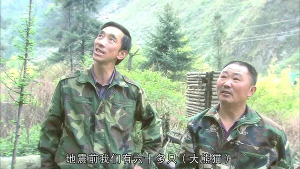 [2014][中国大陆][熊猫淘淘][720p][HD中字][994M][百度盘]
