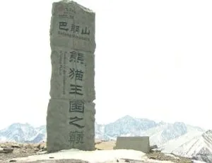 2014中国大陆电影《熊猫淘淘》720p高清中字994M 百度盘资源-小文资源网
