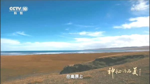 [2015][中国大陆][神秘的西夏][13.6G][百度盘]