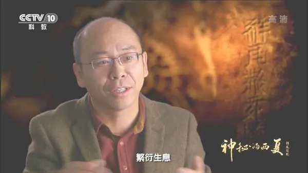 [2015][中国大陆][神秘的西夏][13.6G][百度盘]