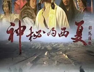 2015 中国大陆神秘西夏 13.6G 百度盘资源-小文资源网