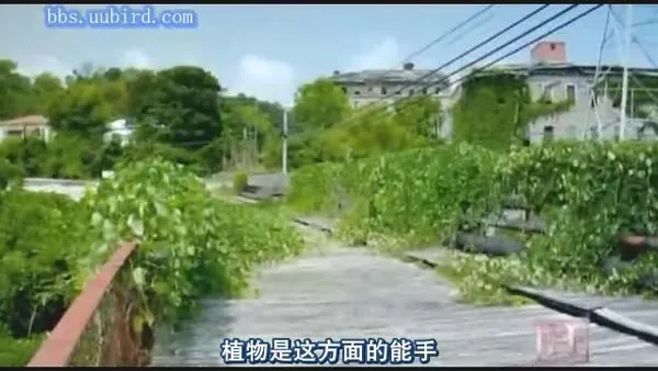 [2008][美国][人类消失后的世界][436M][百度盘]