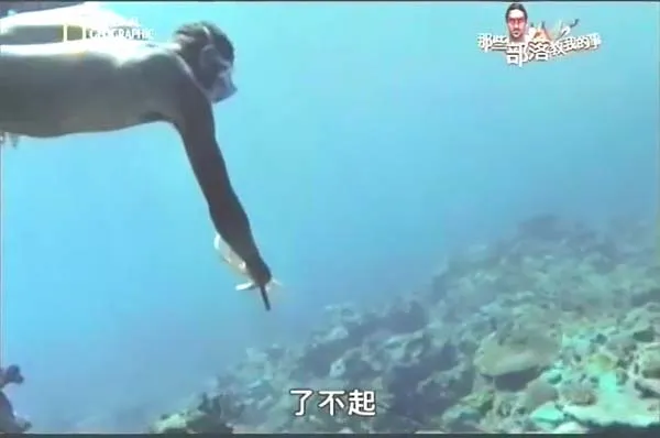[2014][美国][那些部落教我的事][1.9G][百度盘]