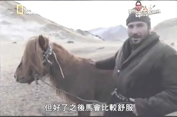 [2014][美国][那些部落教我的事][1.9G][百度盘]