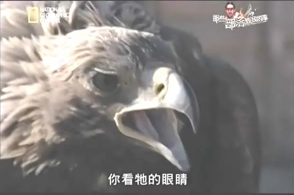 [2014][美国][那些部落教我的事][1.9G][百度盘]