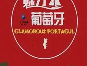 2015中国大陆魅力葡萄牙1.9G百度盘资源-小文资源网