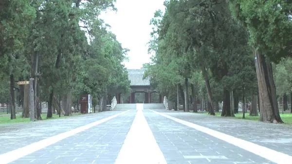 [2012][中国大陆][世界遗产3D纪录片系列之孔府、孔庙、孔林][3.9G][百度盘]