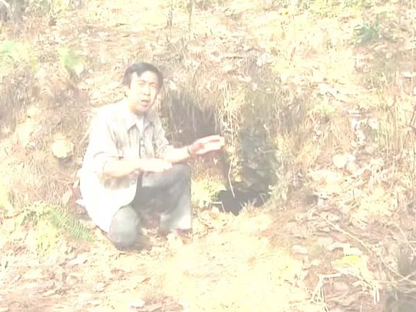[1992][中国大陆][被遗忘的战场-滇缅公路][1.35G][百度盘]