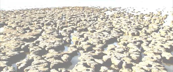 [2007][英国][地球的力量][1080P][18.5G][百度盘]