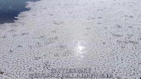 [2007][英国][地球_Earth][1G][百度盘]