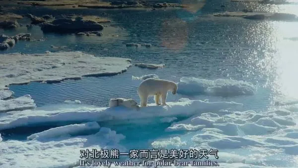 [2012][美国][北极熊心][BD中英双字][1280高清][565M][百度盘]