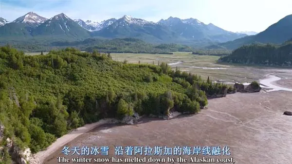 [2014][美国][阿拉斯加的棕熊][BD中英双字][1280高清][1.06G][百度盘]