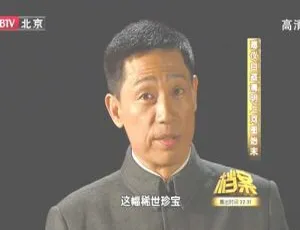 揭秘2011年BTV档案：溥仪自盗清明上河图国宝奇案 720p高清 百度盘资源
