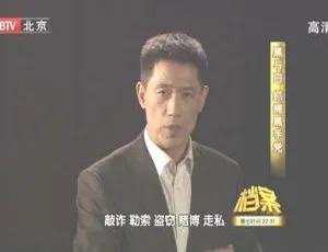 2011年BTV档案：黑与白之逮捕黑手党 720p高清百度盘资源-小文资源网
