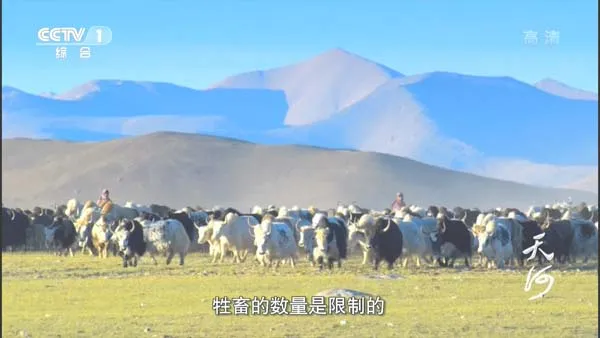 [2015][中国大陆][天河][15.4G][百度盘]