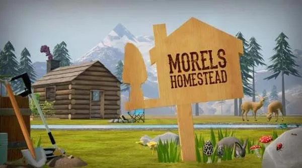 VR游戏《建设家园 Morels Homestead V1 1.0》[英文][116.22MB][百度网盘]