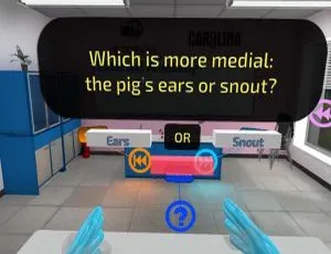 1.06GB英文VR游戏《解剖猪 Pig Dissection-Quest》百度网盘资源-小文资源网