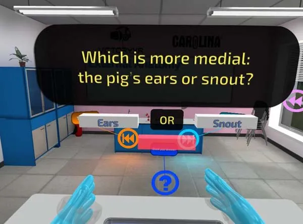 VR游戏《解剖猪 Pig Dissection-Quest》[英文][1.06GB][百度网盘]